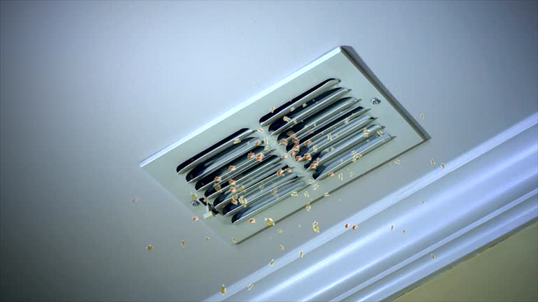 Best Best Air Duct Cleaning Company  in Williamsport, OH