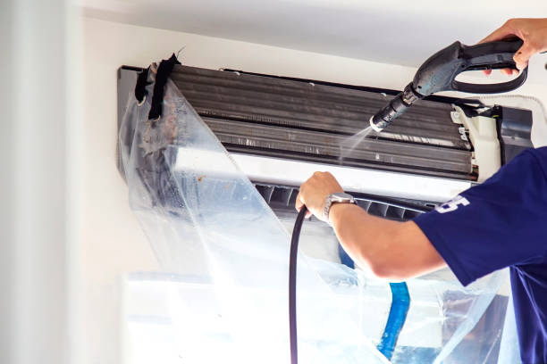 Best Air Duct Cleaning Company Near Me  in Williamsport, OH