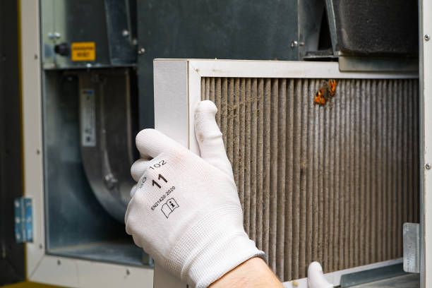 Best Local Air Duct Cleaning Services  in Williamsport, OH