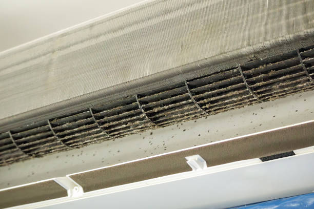 Best Ductwork Cleaning Services  in Williamsport, OH