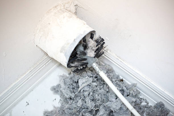 Best Air Duct Cleaning Near Me  in Williamsport, OH